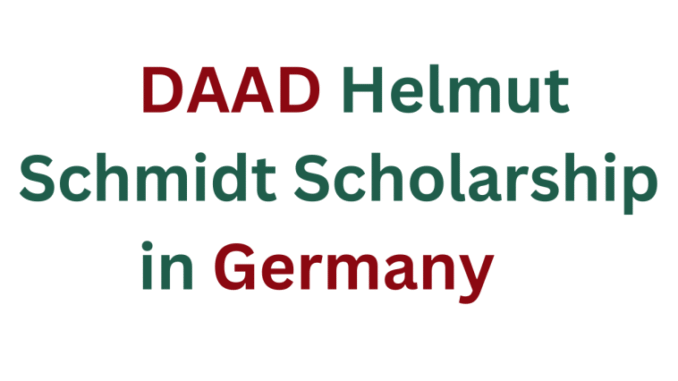 DAAD-Helmut-Schmidt-Scholarship-758x426